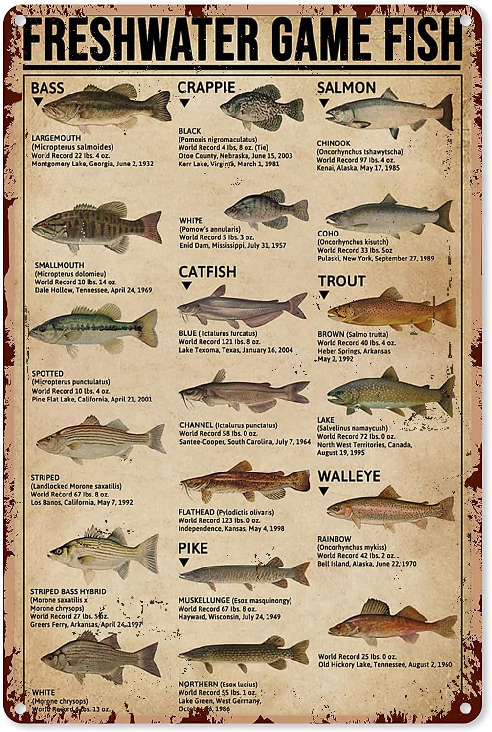 Home Decor Games Free - Y1, Visserij Kunstposters Metalen bord Zoetwaterwildvis