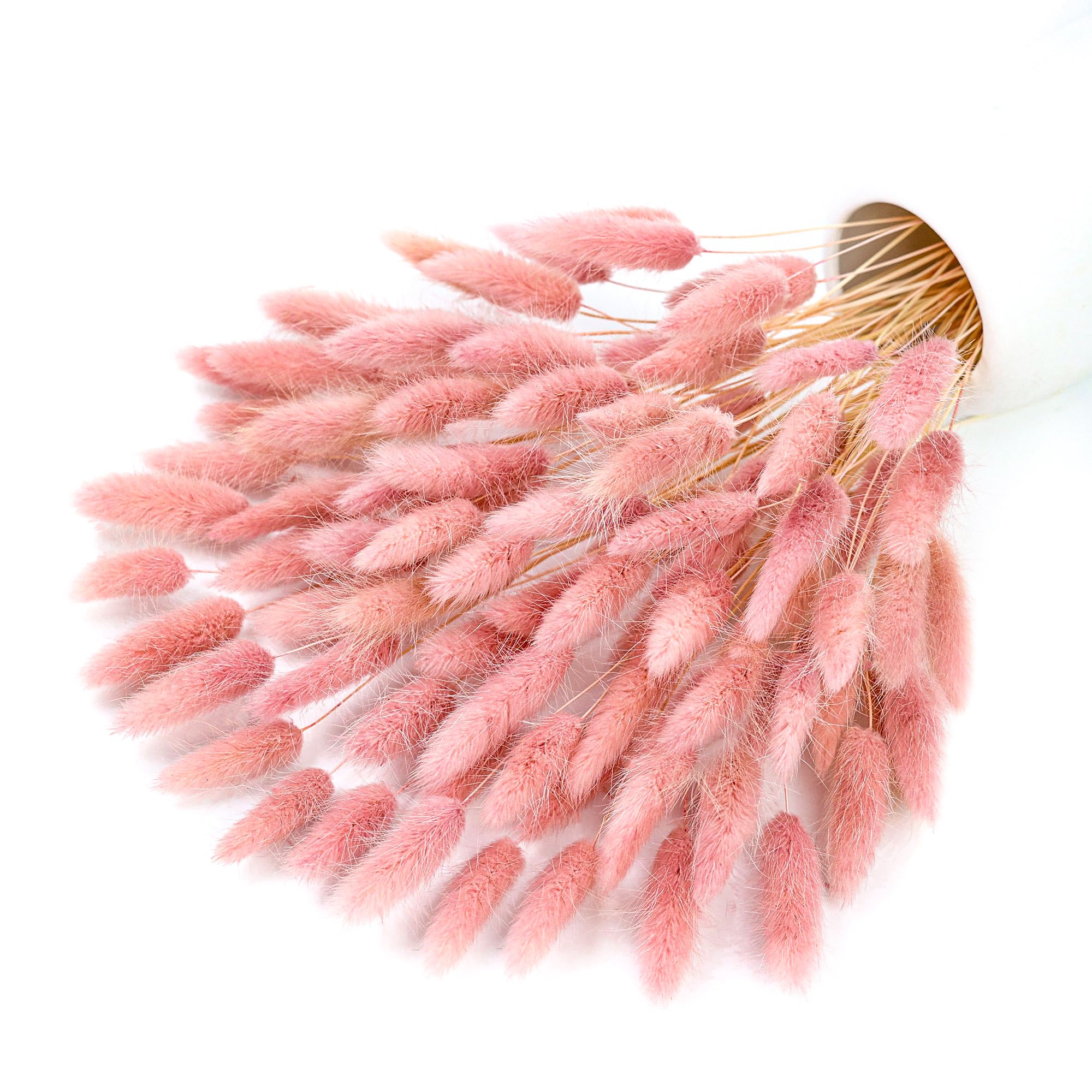 Pampas Grass Decor - 120-steel roze gedroogde pampas konijntjesstaarten gras