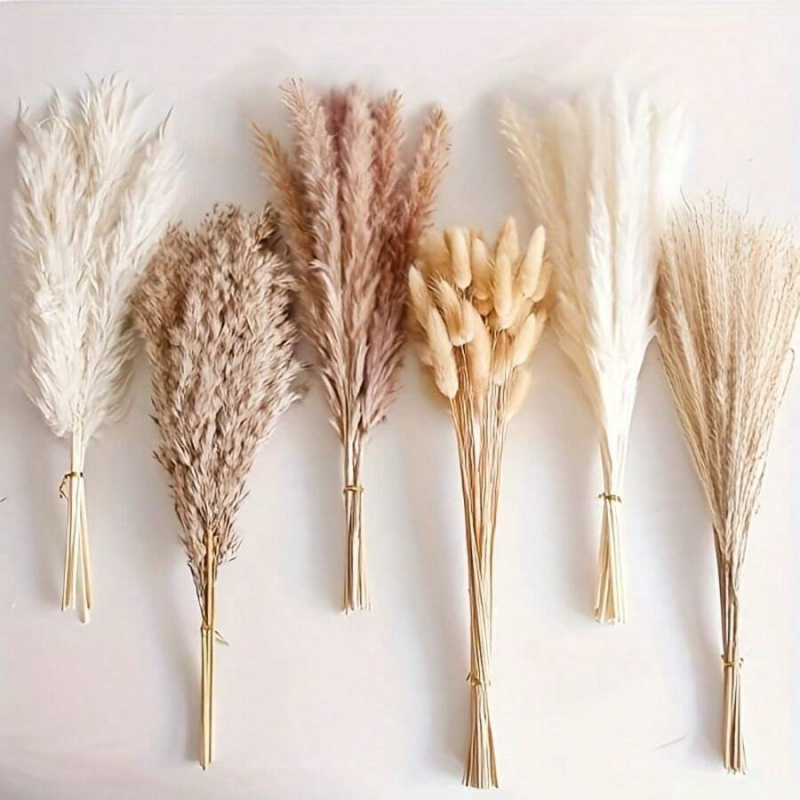 Pampas Grass Decor - 110 stuks gedroogd pampasgrasboeket - bruin