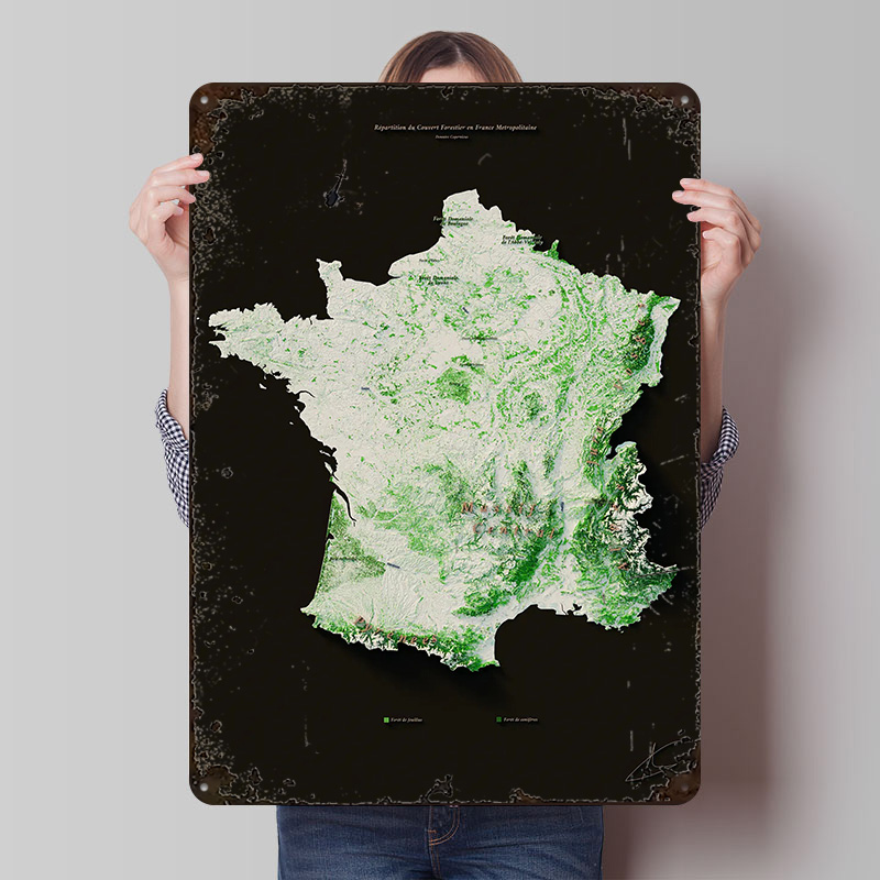 Home Decor Ai - Massive Forestiers Fran? ?ais Poster Aangepaste