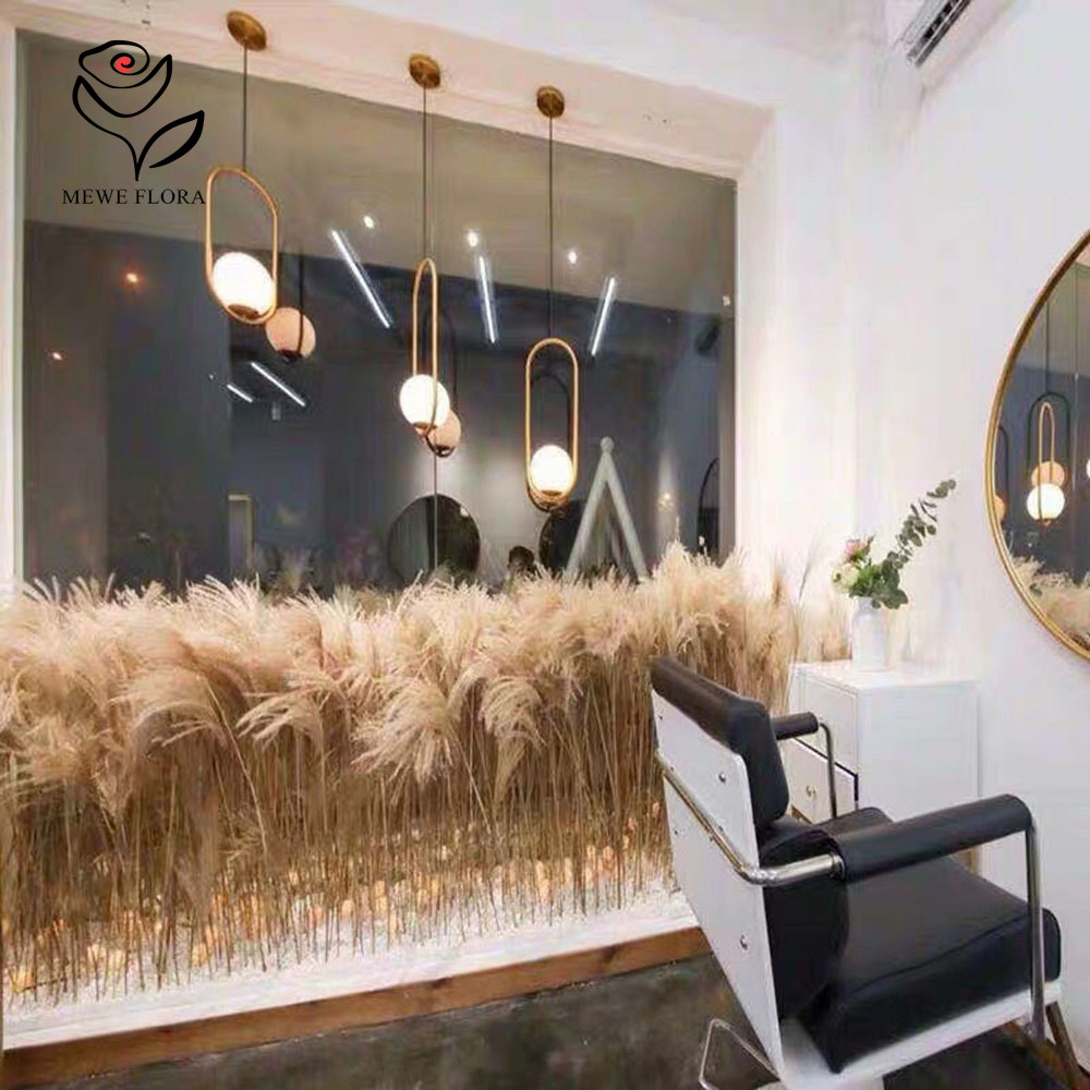 200 STKS Natuurlijke Gedroogde - Pampas Grass Decor recensie en prijs