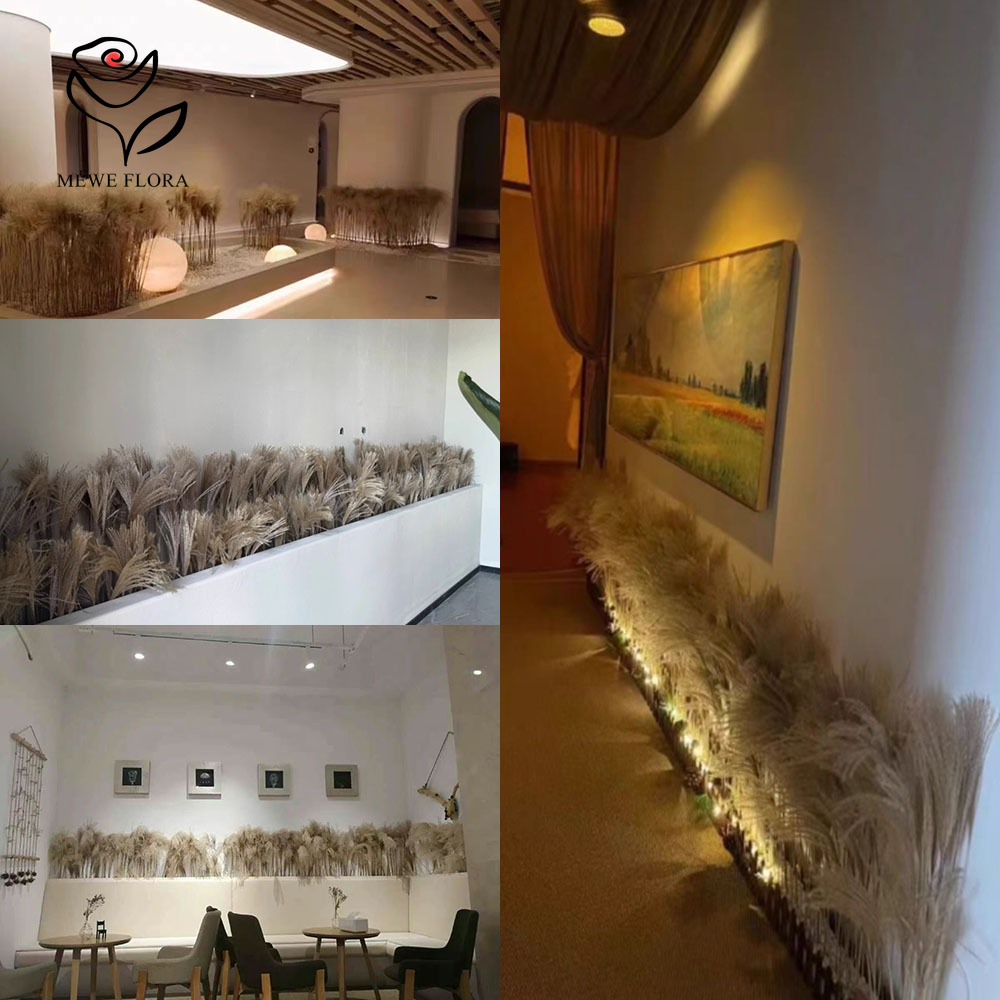 200 STKS Natuurlijke Gedroogde - Pampas Grass Decor recensie en prijs
