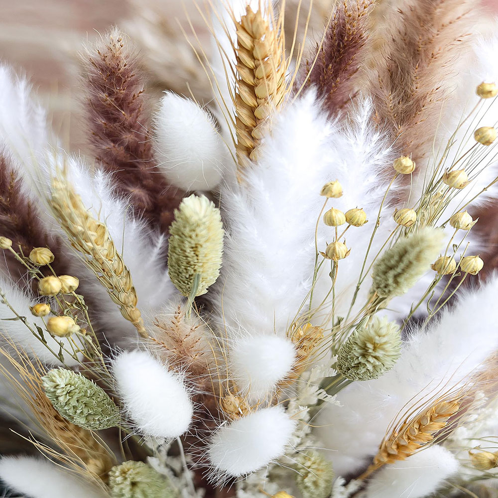 100 stks Gedroogde Pampas Gras - Pampas Grass Decor recensie en prijs
