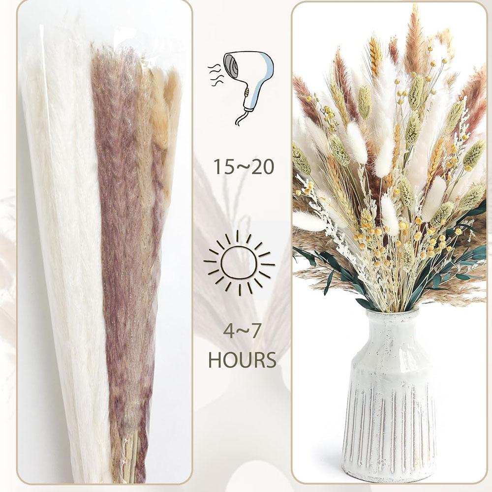 100 stks Gedroogde Pampas Gras - Pampas Grass Decor recensie en prijs