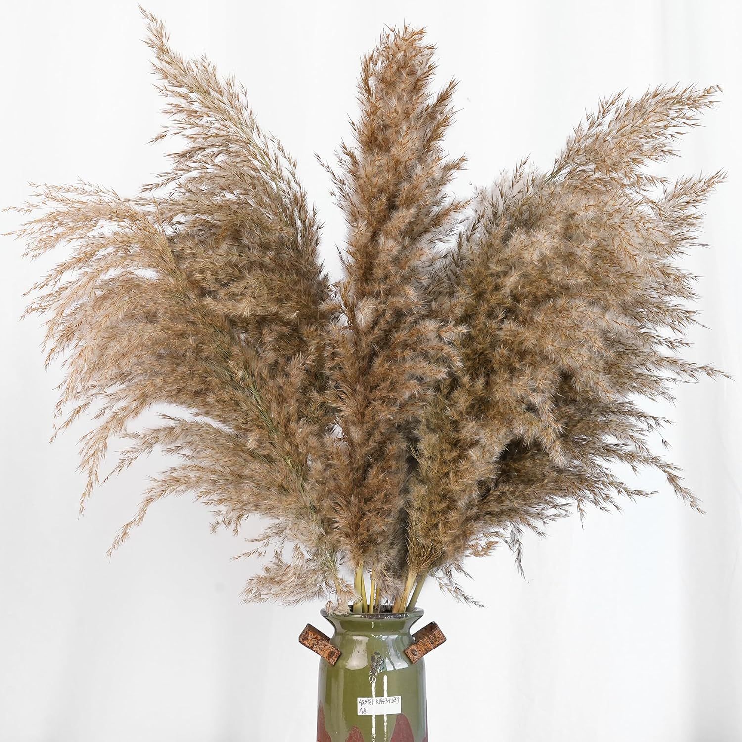 30 stuks wit pampasgras voor t - Pampas Grass Decor recensie en prijs
