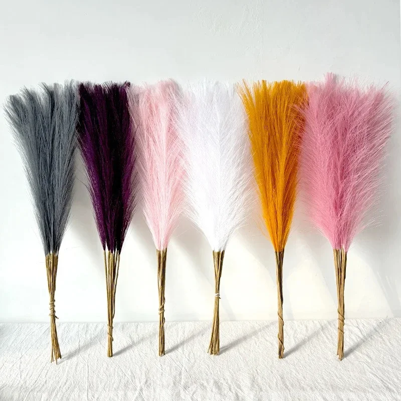 55CM Pampasgras Scandinavische - Pampas Grass Decor recensie en prijs