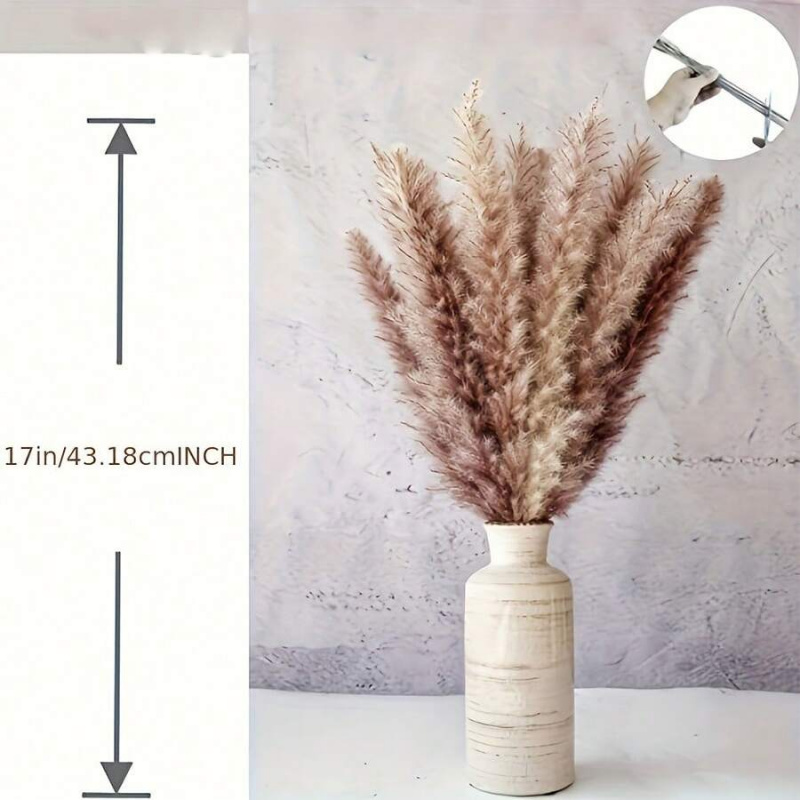 110 stuks gedroogd pampasgrasb - Pampas Grass Decor recensie en prijs