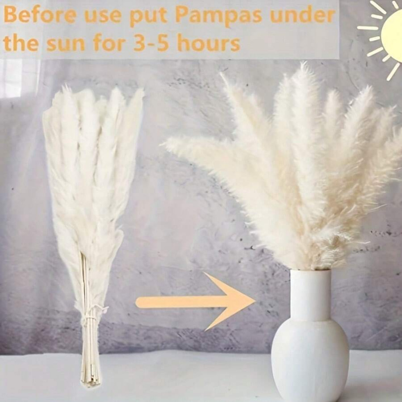110 stuks gedroogd pampasgrasb - Pampas Grass Decor recensie en prijs